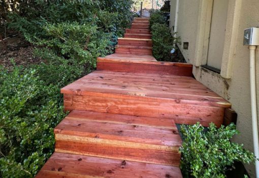 Deck & Carpentry